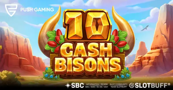 10 캐시 바이슨 [푸쉬게이밍]