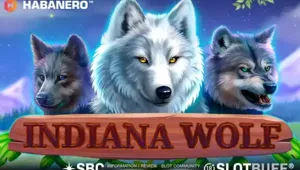 [하바네로] 인디아나 울프